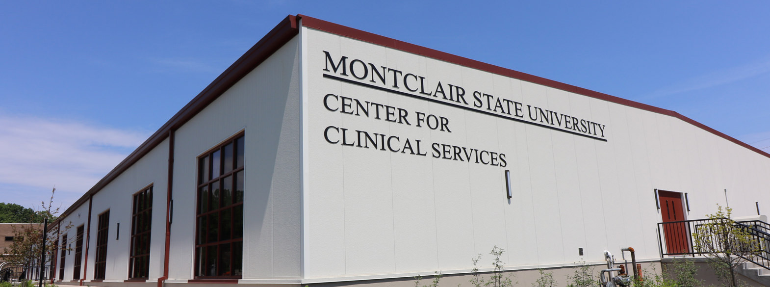 MSU Clove Road Banner